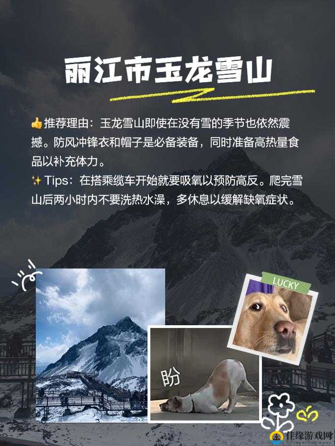 AAAA 级毛皮为何如此火爆：探寻其背后的独特魅力与市场热度